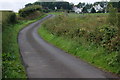 The Gobbins Brae, Islandmagee (1)