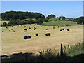 SJ2367 : Hay bales near Soughton  Farm by Peter Craine