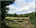 Field & gate, Kirthen Wood Farm