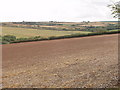 Fields at Trenance, near St Issey