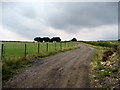 Access Lane to Ravensworth Grange