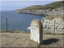 SY9876 : Path marker at Seacombe Cliff by Jim Champion