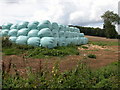 Silage bales