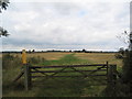 SP7696 : Midshires Way, north of Cranoe by Tim Heaton
