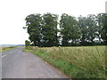 Between Shrewton and Winterbourne Stoke