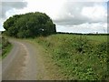 A minor road in Ayrshire