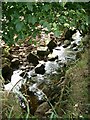 Tributary of the Cessnock Water, near Little Sorn