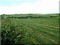 Cutting the silage