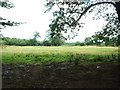 Farmland near Plas-ym-mhenrhos