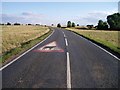 Minchinhampton Common: beware of cows