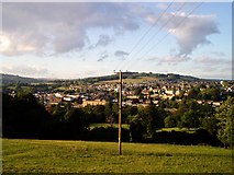 SO8504 : Stroud from the slopes of Rodborough Hill by David Gruar