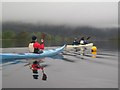 A group of kayakers paddling north on the Loch