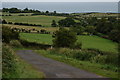 Gobbins Brae, Islandmagee