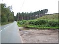 Cannock Chase near Pottal Pool