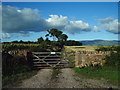 The Road to Highbarn Cottage