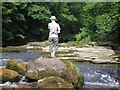 A lone individual stood on a rock surveying Hack Falls