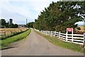 The lane to Petley Farm.