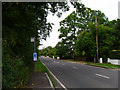 Bus Stops, Shermanbury