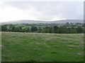 Drumnadonaghy Townland