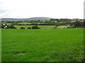 Ballybampton Townland