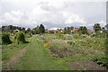 West Bergholt Allotments