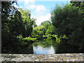 River Itchen downstream of Old Mill, Abbots Worthy