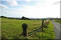 Welsh sheep farming