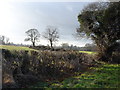 Views across towards High Leys Farm