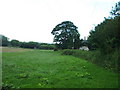 Farmland at Bryn Estyn Farm