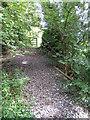 Footpath at Edwalton