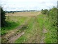 Field entrance on Ryebury Hill