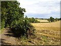 Stubble east of Field Mill Lane