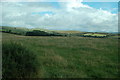 View towards South Threave Farm