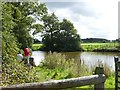 Fishing pond at Dayhouse Green Farm