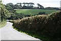 Farmland and a Minor Road