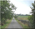 Country lane near Pant Ifan