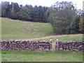 Stile, Alton Common