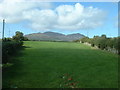 Farmland looking towards Yr Eifl