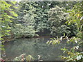 Ornamental Pool at Plas Tirion Manor