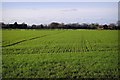 View from Stelling Church