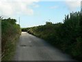 Lane to Kerthen Wood Farm