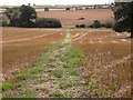 Footpath and Tractor