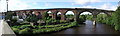 Yarm : Railway Viaduct  : 1849