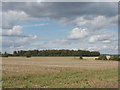 Fields at Great Hampden