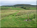 Southern Upland Way approaching Loch Burn