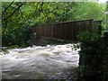 Footbridge over the Artro