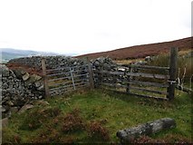 NT3139 : Gates, walls, and fences, Lee Burn Head. by Chris Eilbeck
