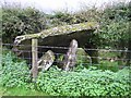 Glenroan Portal Tomb