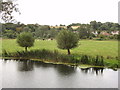 River Stour and Ballingdon Grove, Sudbury