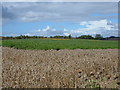 Farmland near Charingworth